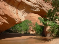 Coyote Natural Bridge